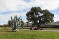 Champ Car Panoz DP01